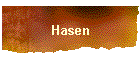 Hasen