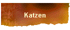 Katzen