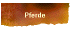 Pferde